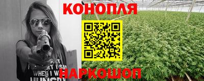 Альфа ПВП Аргун