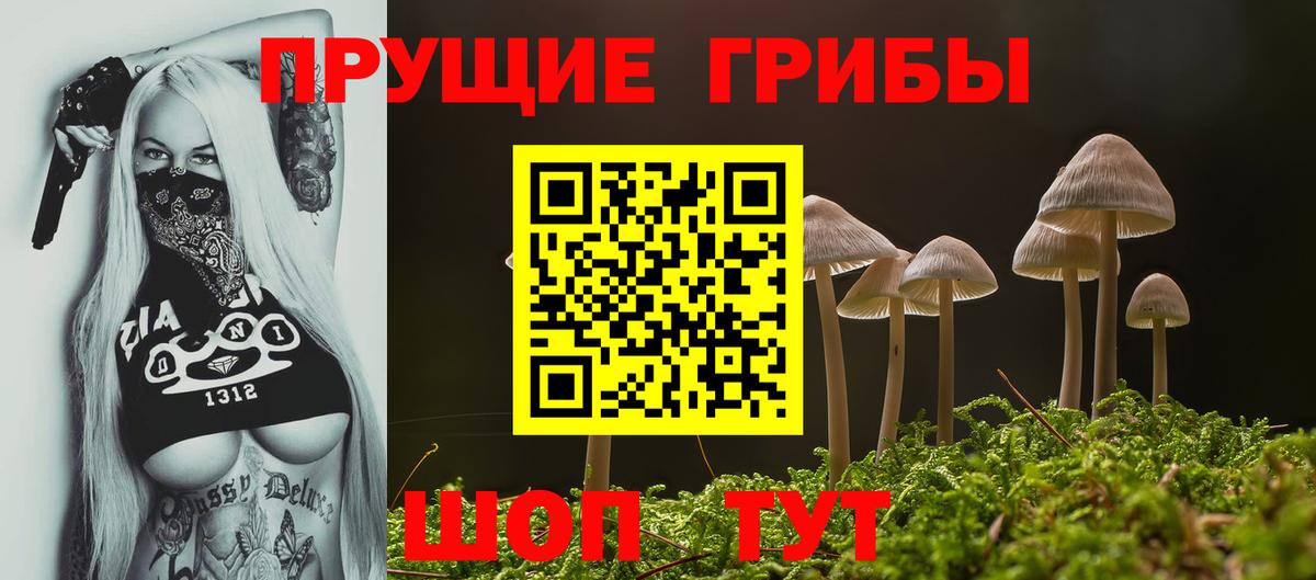 Воронеж  Галлюциногенные грибы GOLDEN TEACHER  Вход с VPN 